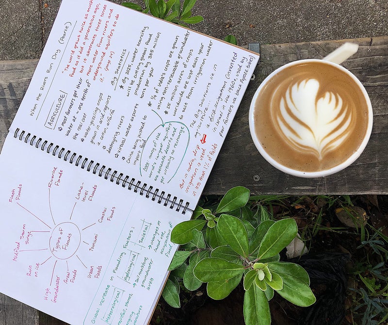 Unruled. Unruled Classic Blank Spiral Notebook, 60lb Premium Plain Paper, 70 Sheets, Recycled and Sustainable, 10.5" x 8", 3 Pack, Gold Foil/Wire - Image 2